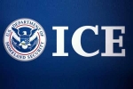 ICE arrests, Farmington University arrests., us 129 indians among 130 students arrested in pay to stay immigration fraud, 6 8 indians arrested
