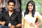 Niveda Thomas, Akhil Akkineni latest, akhil to romance niveda thomas, Niveda thomas Niveda Thomas, Akhil Akkineni latest, akhil to romance niveda thomas, Niveda thomas