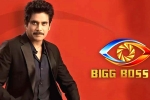 Star MAA, Bigg Boss 5 host, bigg boss 5 to commence from september 5th, Television show Star MAA, Bigg Boss 5 host, bigg boss 5 to commence from september 5th, Television show