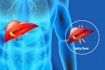 Fatty Liver Disease News new breaking, Fatty Liver Disease News new breaking, body organs that can be affected by fatty liver disease, News updates