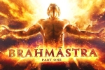 Brahmastra Telugu event, Alia Bhatt, shocking brahmastra telugu event cancelled, Ntr fans