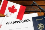 Canada Vs India, Canada Vs India Visa rule updates, canada reduces tourist visas issued to indians, Indian travelers