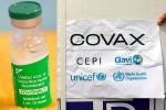 Covishield updates, COVAX, sii to resume covishield supply to covax, Covax