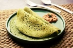 Curry Leaves Dosa making, Curry Leaves Dosa preparation, recipe curry leaves dosa, Curry leaves dosa