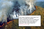 amazon forest wildfires, amazon forest wildfires, in pictures devastating fires in amazon rainforest visible from space, Ecb