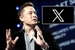 Twitter, X subscription updates, elon musk announces that x would be paid for everyone, Social networking