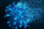 Gene Variant Coronavirus latest, Gene Variant Coronavirus research, researchers identify gene variant that protects against coronavirus, Jennifer