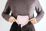 Gut Vs Skin breaking, Gut Vs Skin breaking, your gut decides about your skin, Guru