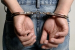 Indian-origin sentenced jail for money laundering, Indian-origin news, indian origin pleaded guilty to money laundering, Insurance company Indian-origin sentenced jail for money laundering, Indian-origin news, indian origin pleaded guilty to money laundering, Insurance company