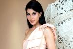 Jacqueline Fernandez, Jacqueline Fernandez case, jacqueline fernandez files complaint against sukesh chandrashekhar, Actress jacqueline fernandez