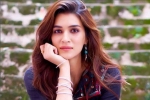 Varun Dhawan, Varun Dhawan, kriti sanon tested positive for covid 19, Actress kriti sanon