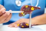Liver Health medication, Liver Health tips, factors that worsens your liver health, Cancer