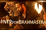 Brahmastra Telugu event, Brahmastra, ntr turns chief guest for brahmastra event, Brahmastra telugu event