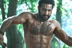 Ramaraju for Bheem latest, Ramaraju for Bheem teaser time, ramaraju for bheem ntr s deadly transformation as komaram bheem, Best actors