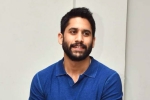 Naga Chaitanya upcoming film, Naga Chaitanya upcoming film, change of plans for naga chaitanya, Romantic comedy