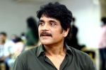Nagarjuna next movie, Nagarjuna upcoming film, nagarjuna in a periodic drama, God father