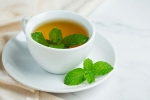 Peppermint Tea benefits, Peppermint Tea health benefits, what happens when you drink peppermint tea every night, Health benefits Peppermint Tea benefits, Peppermint Tea health benefits, what happens when you drink peppermint tea every night, Health benefits