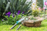Plants that attract Snakes names, Plants that attract Snakes, five plants that attract snakes at home, High temperatures