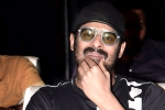 Prabhas and Maruthi Film new updates, Prabhas and Maruthi Film launch, prabhas next film launched, Raja deluxe Prabhas and Maruthi Film new updates, Prabhas and Maruthi Film launch, prabhas next film launched, Raja deluxe