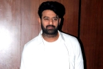 Prabhas film updates, Prabhas movie news, two beauties locked to romance prabhas, Raja deluxe Prabhas film updates, Prabhas movie news, two beauties locked to romance prabhas, Raja deluxe