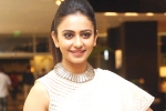 Rakul Preet Singh, Rakul Preet Singh latest, rakul preet s multi starrer, Actress rakul preet
