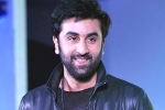 Ranbir Kapoor, Ranbir Kapoor, ranbir kapoor s cameo in srk s next, Ae dil hai mushkil