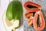 Raw Papaya Vs Ripe Papaya health experts, Raw Papaya Vs Ripe Papaya breaking, raw papaya vs ripe papaya which is better for blood sugar, Health Raw Papaya Vs Ripe Papaya health experts, Raw Papaya Vs Ripe Papaya breaking, raw papaya vs ripe papaya which is better for blood sugar, Health
