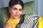 Samantha with Vicky Kaushal, Samantha Hindi films, samantha in talks for one more bollywood film, Telugu movies Samantha with Vicky Kaushal, Samantha Hindi films, samantha in talks for one more bollywood film, Telugu movies
