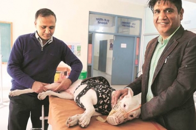 NRI visits India for pet surgery NRI visits India for pet surgery