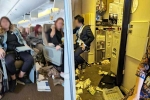 Singapore Airlines turbulence horror breaking, Singapore Airlines turbulence horror videos, one dead and 30 injured in singapore airlines turbulence horror, Singapore airlines turbulence