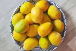 Soak Mangoes before eating, Soak Mangoes health benefits, soak mangoes for 30 minutes before eating, Sugar