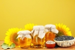 Sunflower Oil health benefits, Sunflower Oil breaking, long term effects of consuming sunflower oil on heart health, High temperatures