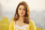 Tamannaah next film, Tamannaah, tamannaah locked for a bollywood remake, Milky beauty