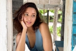 Triptii Dimri upcoming movies, Triptii Dimri upcoming films, triptii dimri is eager to sign hollywood films, Triptii dimri