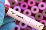 Cure for coronavirus, Vaccine for coronavirus, who warns covid 19 may never go away then what s the future of the world, Plague Cure for coronavirus, Vaccine for coronavirus, who warns covid 19 may never go away then what s the future of the world, Plague