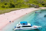 Indonesia, Pink Beach in Indonesia, which pink beach should you visit in indonesia, Bali Indonesia, Pink Beach in Indonesia, which pink beach should you visit in indonesia, Bali