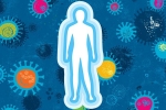 viral load, body, how your body fights with coronavirus, Novel coronavirus