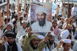 Al-Qaeda, Bin Laden new updates, bin laden continues to mobilize jihadists ten years after his death, Al qaeda