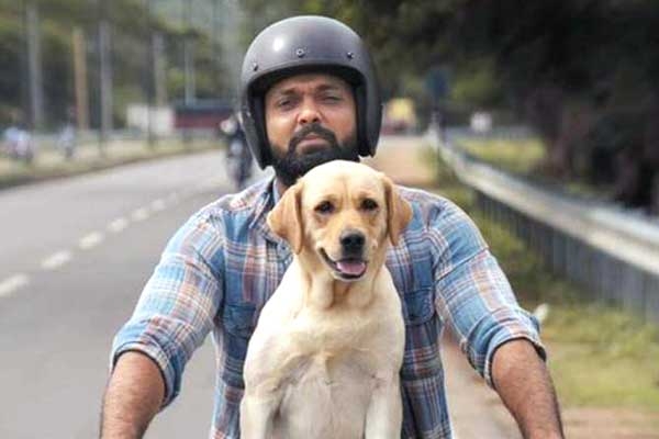 777 Charlie Movie Review, Rating, Story, Cast and Crew